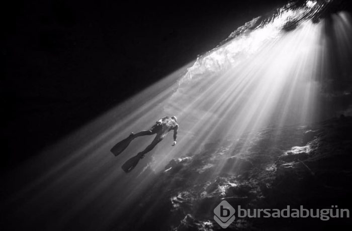 Zamanlama açısından en iyi çekilen fotoğraflar