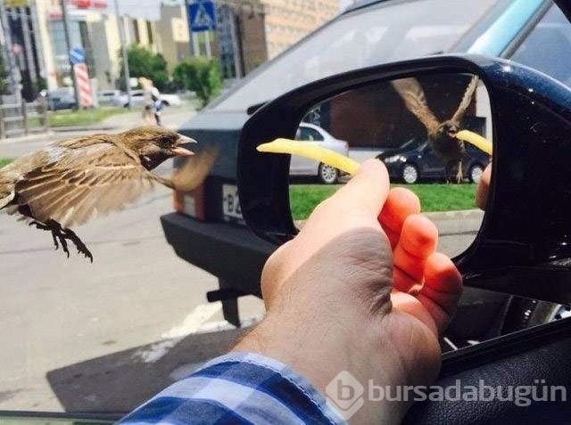 Zamanlama açısından en iyi çekilen fotoğraflar
