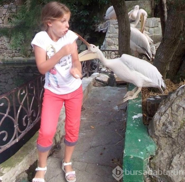 Zamanlama açısından en iyi çekilen fotoğraflar