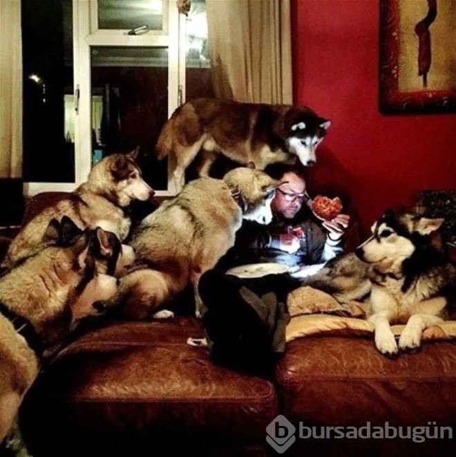 Zamanlama açısından en iyi çekilen fotoğraflar