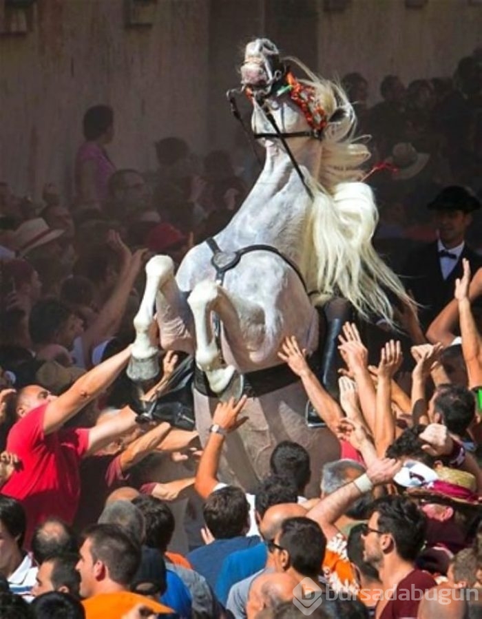 Zamanlama açısından en iyi çekilen fotoğraflar
