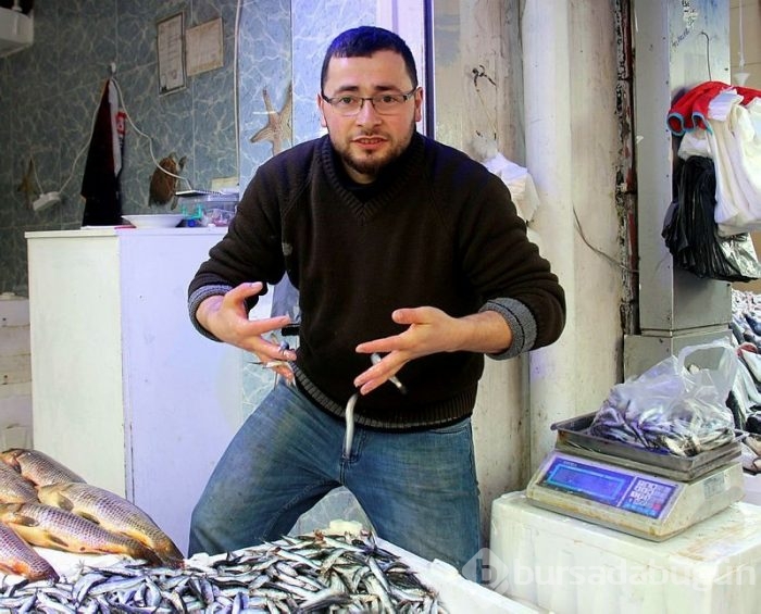 Yolu gözlenen hamsi, boy uzatıp geri döndü