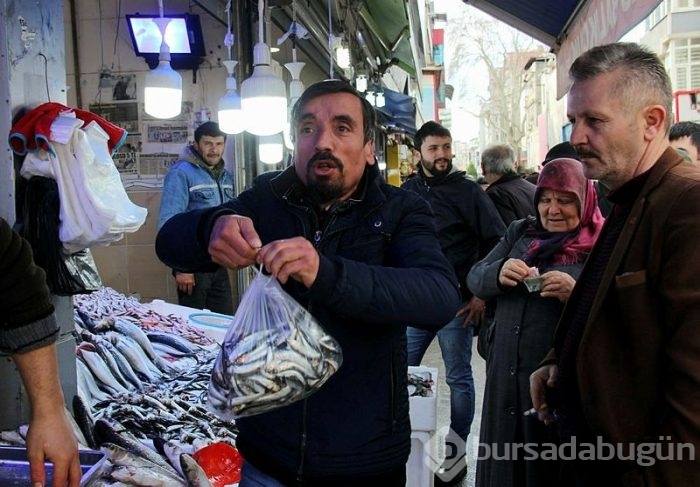 Yolu gözlenen hamsi, boy uzatıp geri döndü