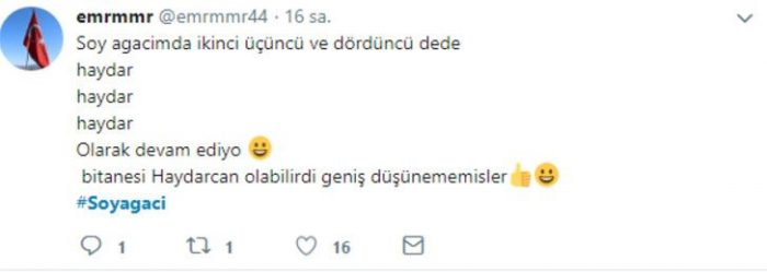 Soy ağacı sorgulama sistemi sosyal medyanın diline düştü