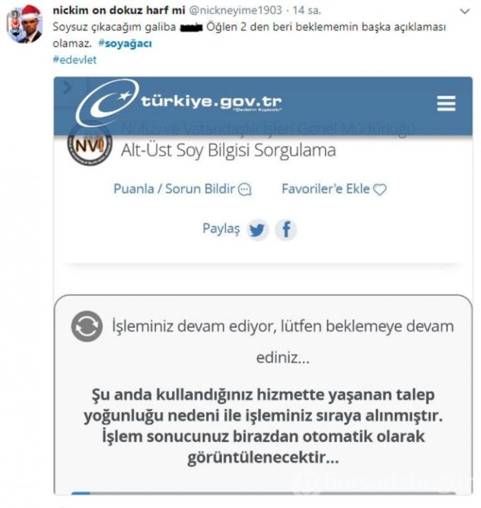 Soy ağacı sorgulama sistemi sosyal medyanın diline düştü