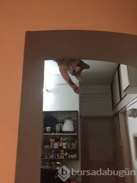 Günün en çok paylaşılan fotoğrafları