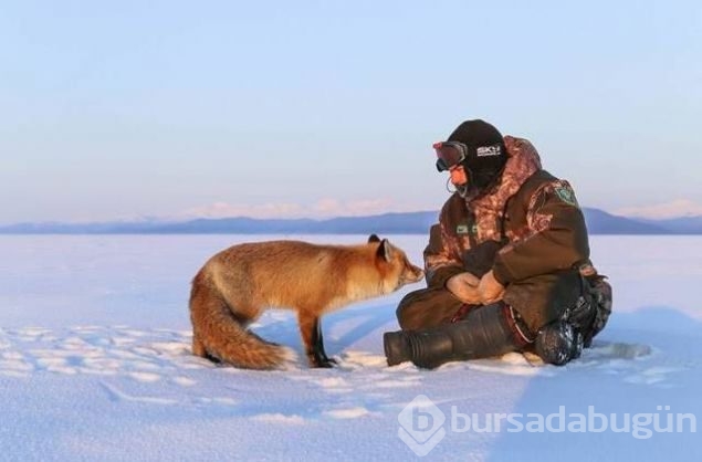 Günün en çok paylaşılan fotoğrafları