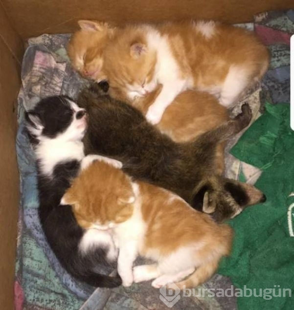 Günün en çok paylaşılan fotoğrafları