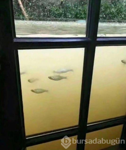 Günün en çok paylaşılan fotoğrafları