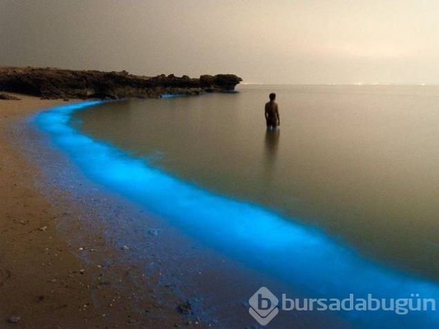 Günün en çok paylaşılan fotoğrafları
