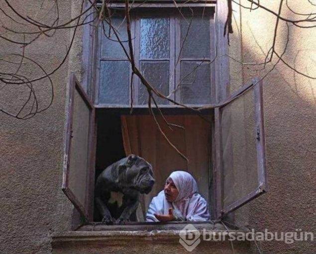 Günün en çok paylaşılan fotoğrafları