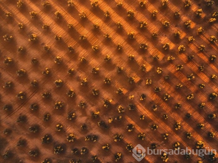 Dünyanın drone ile çekilmiş en iyi fotoğrafları