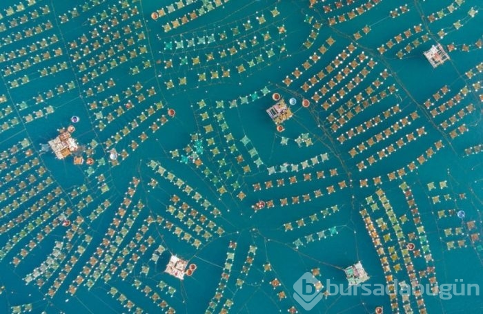 Dünyanın drone ile çekilmiş en iyi fotoğrafları