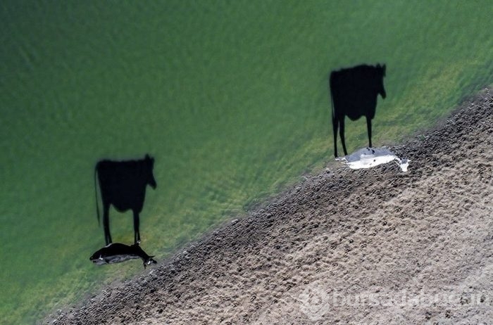 Dünyanın drone ile çekilmiş en iyi fotoğrafları
