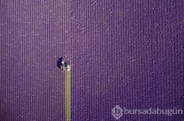 Dünyanın drone ile çekilmiş en iyi fotoğrafları