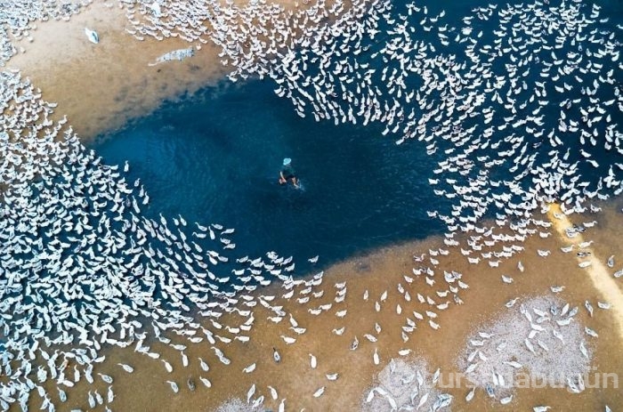 Dünyanın drone ile çekilmiş en iyi fotoğrafları