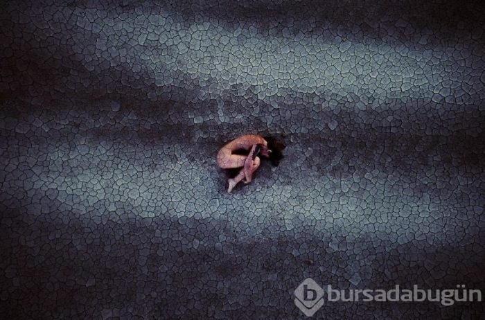 Dünyanın drone ile çekilmiş en iyi fotoğrafları