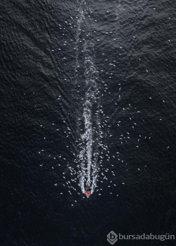 Dünyanın drone ile çekilmiş en iyi fotoğrafları