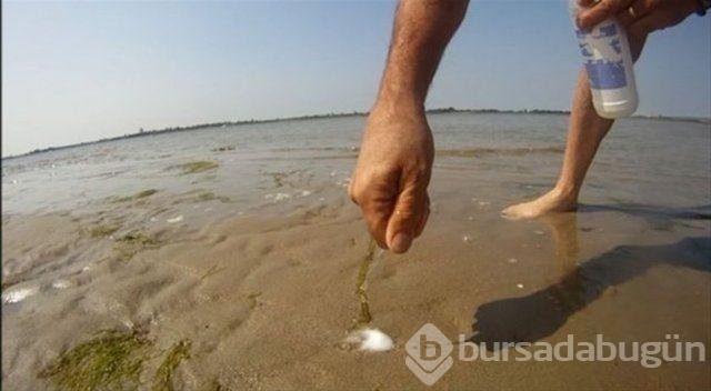 Böyle av tekniği gördünüz mü?
