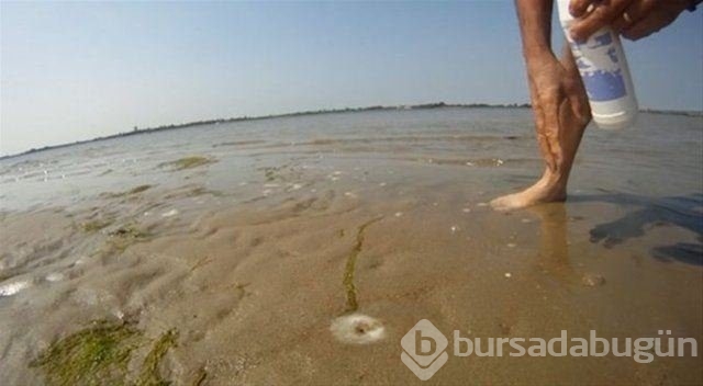 Böyle av tekniği gördünüz mü?
