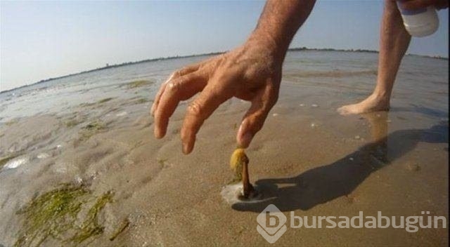 Böyle av tekniği gördünüz mü?
