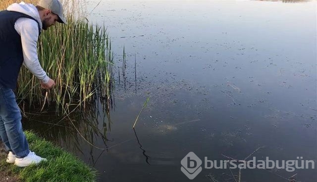 Böyle av tekniği gördünüz mü?
