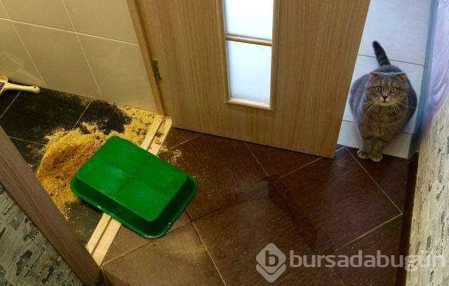 Günün en çok paylaşılan fotoğrafları