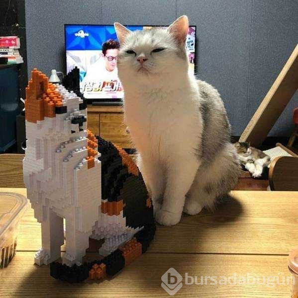 Günün en çok paylaşılan fotoğrafları