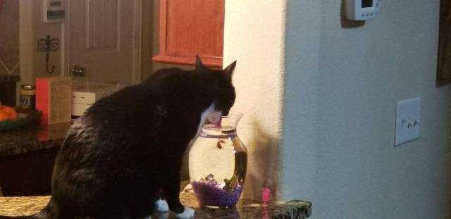 Günün en çok paylaşılan fotoğrafları