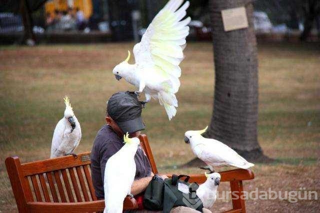 Günün en çok paylaşılan fotoğrafları