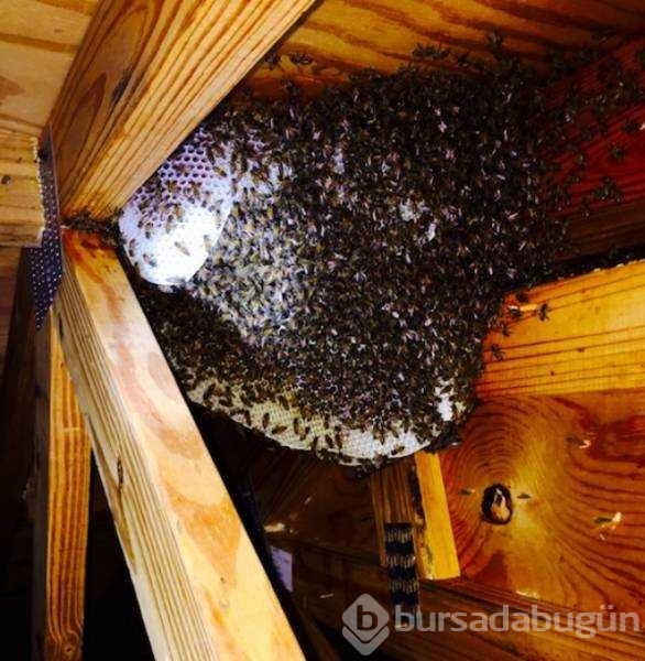 Günün en çok paylaşılan fotoğrafları
