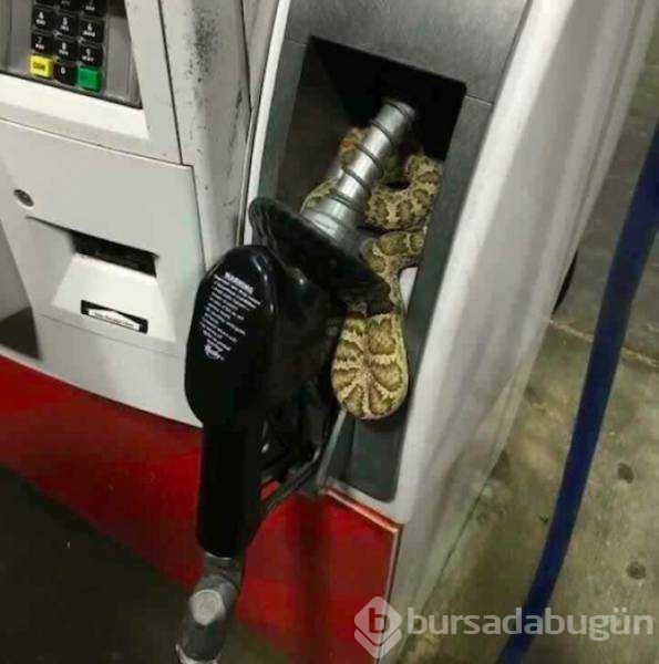 Günün en çok paylaşılan fotoğrafları