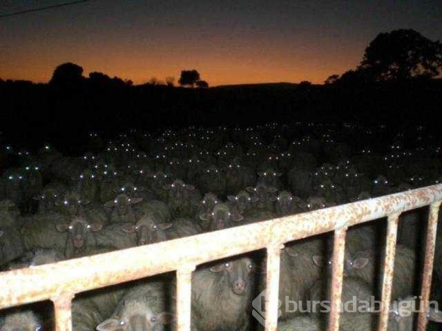 Günün en çok paylaşılan fotoğrafları