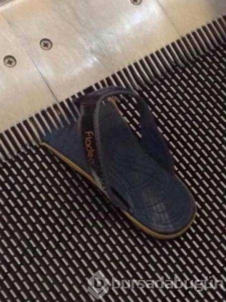 Günün en çok paylaşılan fotoğrafları