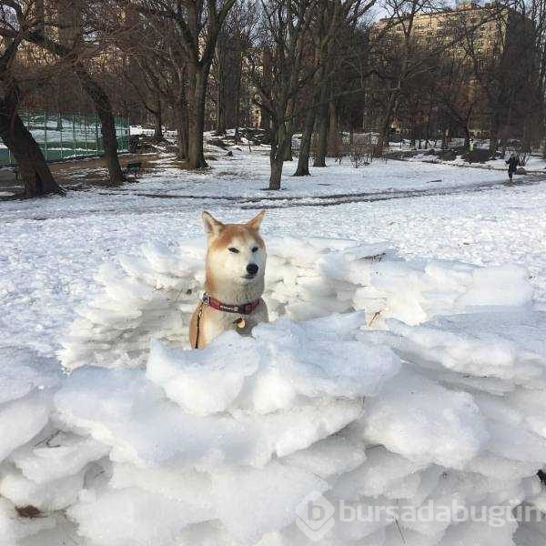 Günün en çok paylaşılan fotoğrafları