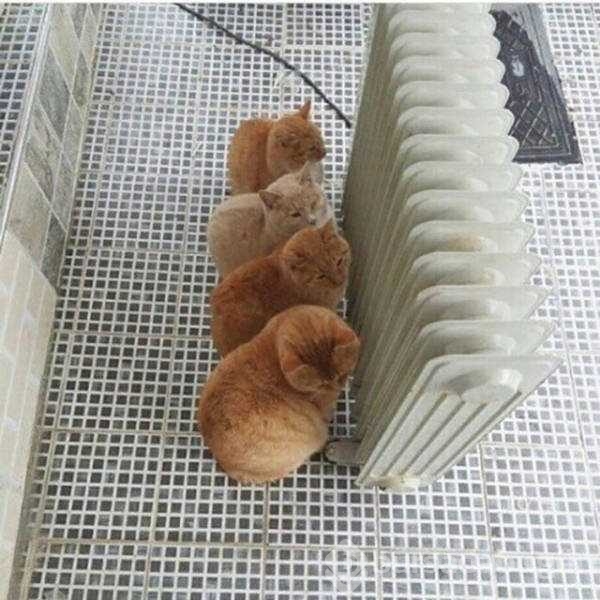 Günün en çok paylaşılan fotoğrafları
