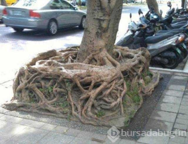 Günün en çok paylaşılan fotoğrafları