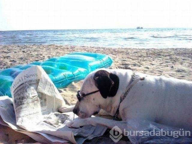 Günün en çok paylaşılan fotoğrafları