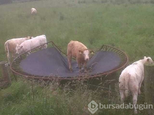 Günün en çok paylaşılan fotoğrafları