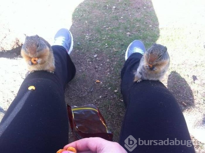 Birbirinden enteresan kareler!
