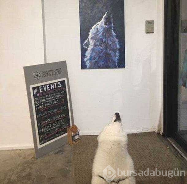 Günün en çok paylaşılan fotoğrafları
