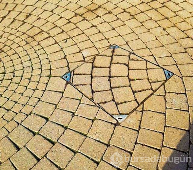 Günün en çok paylaşılan fotoğrafları
