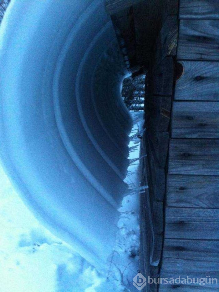Günün en çok paylaşılan fotoğrafları
