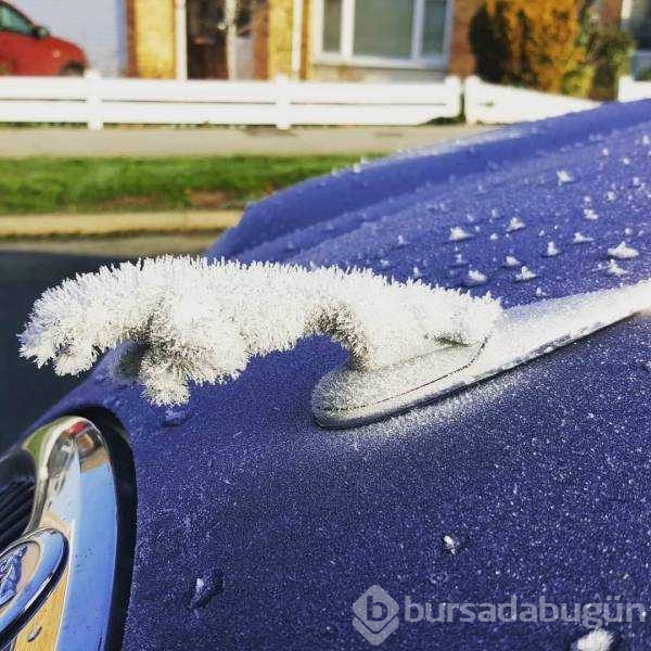 Günün en çok paylaşılan fotoğrafları
