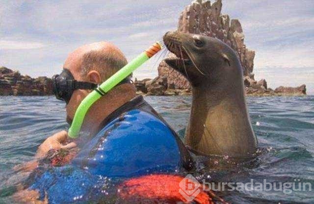 Günün en çok paylaşılan fotoğrafları
