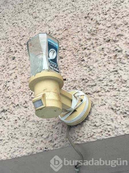 Günün en çok paylaşılan fotoğrafları
