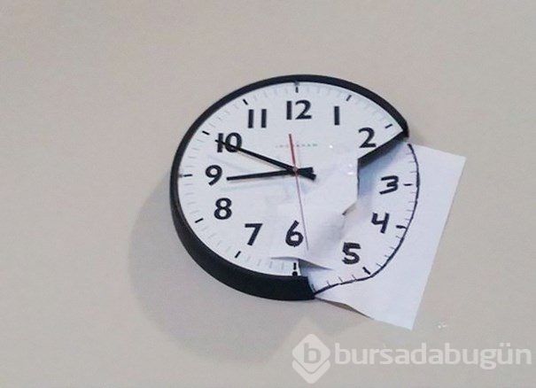 Kedisi için yüz tanıma teknolojisi geliştirdi

