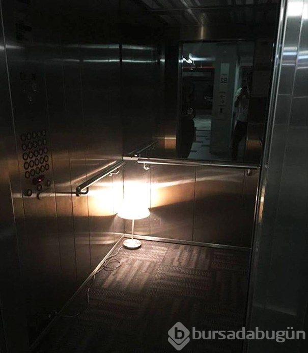 Kedisi için yüz tanıma teknolojisi geliştirdi
