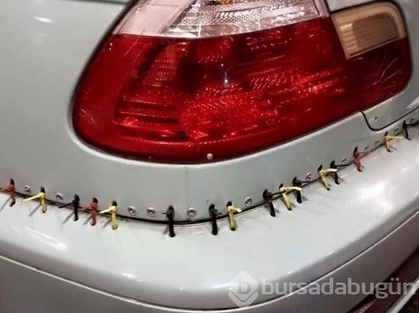Kedisi için yüz tanıma teknolojisi geliştirdi
