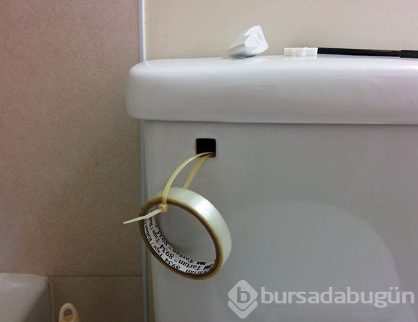 Kedisi için yüz tanıma teknolojisi geliştirdi
